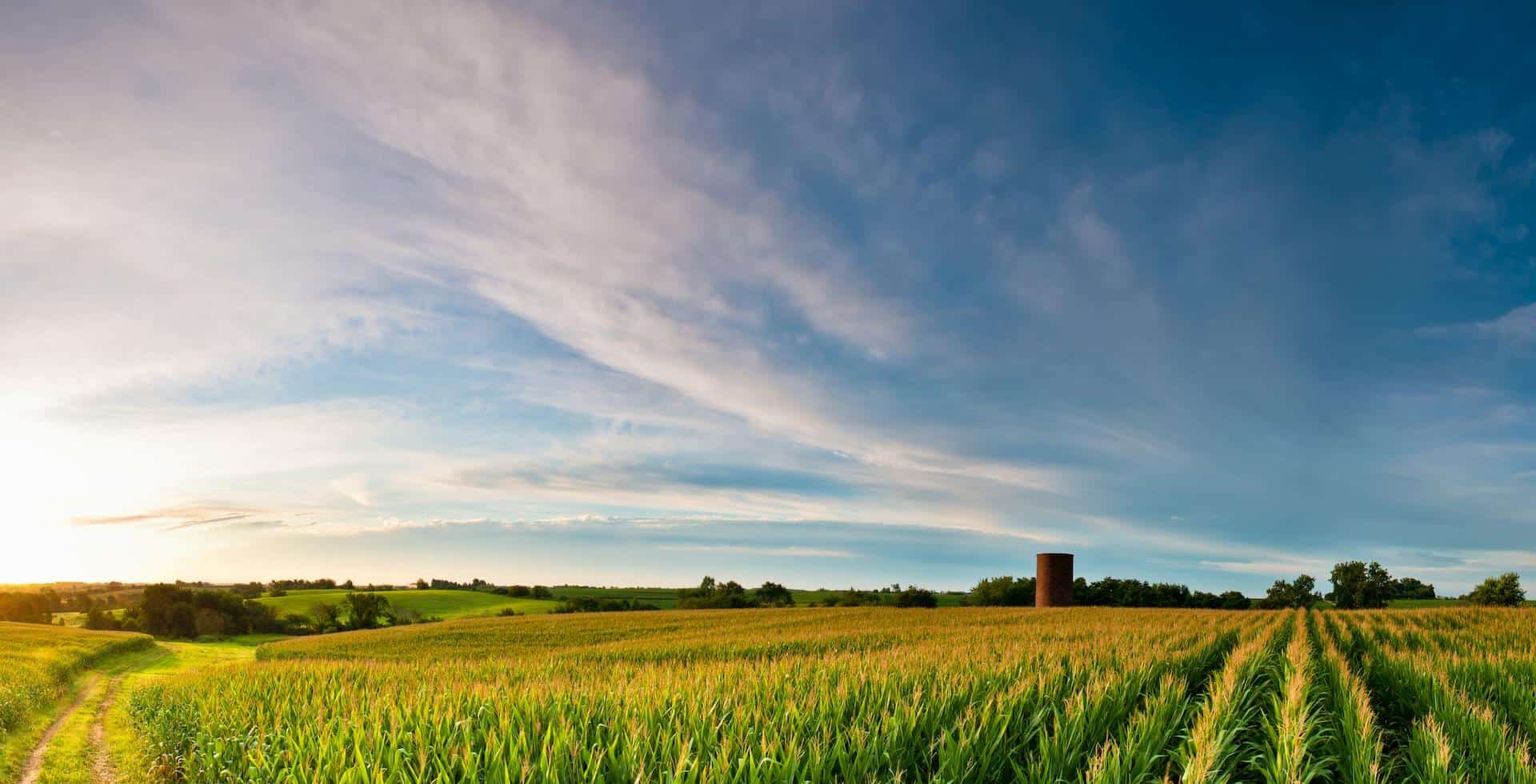 Best Hard Money Lenders Des Moines IA [1 Hard Money Loans]