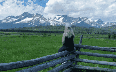 Best Hard Money Lenders Idaho